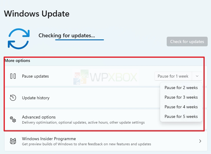 Delay Windows Update Settings