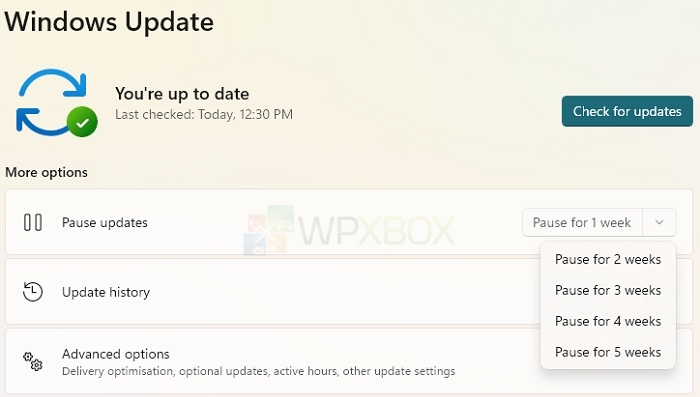 Windows Update Pause Updates