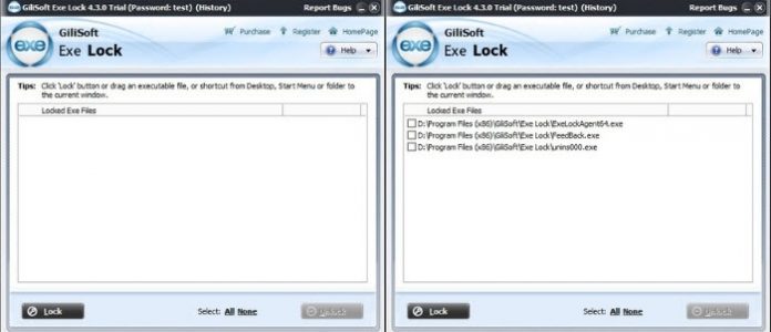 instaling GiliSoft Exe Lock 10.8