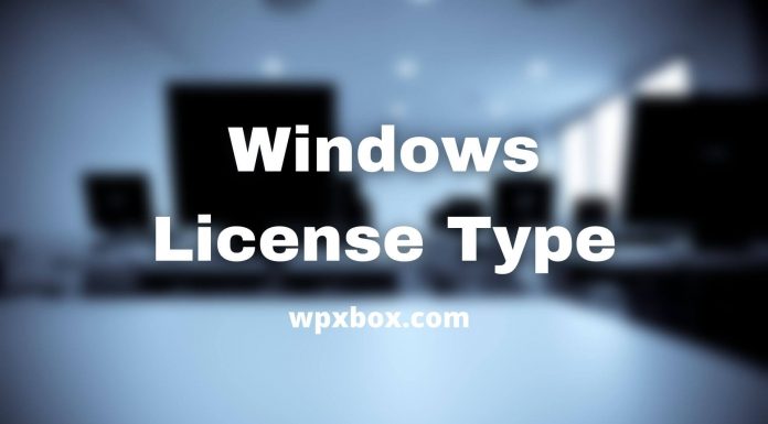 Windows License Type
