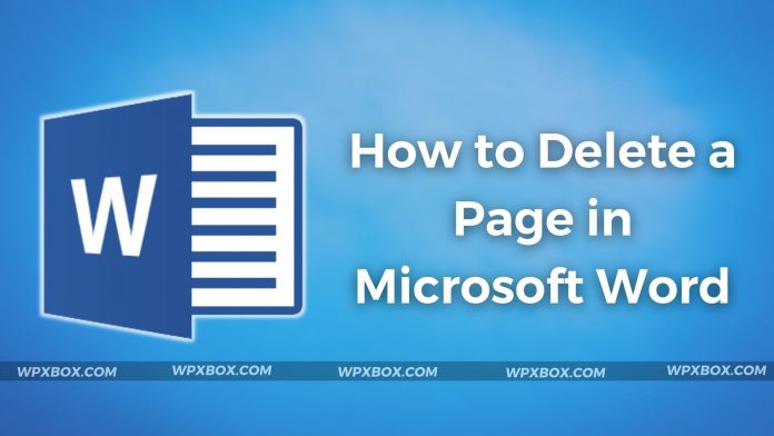 How to Delete a Page in Microsoft Word and Recover it