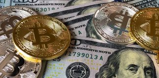 What Are the Crypto Investors Doing for Investment?