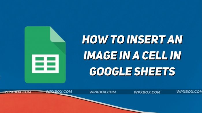 How to Insert an Image in a Cell in Google Sheets