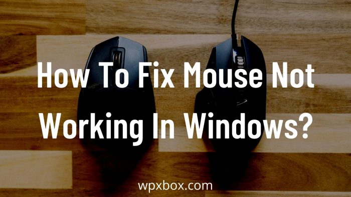 How To Fix Mouse Not Working on Windows 11/10?