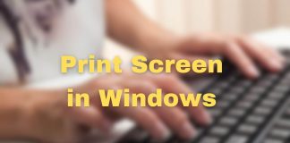 Print Screen Windows Screenshot