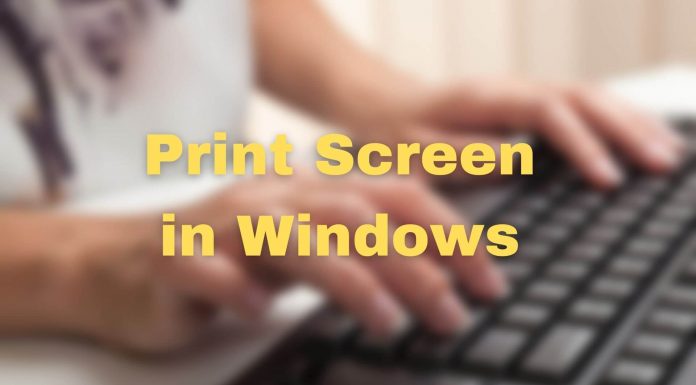 Print Screen Windows Screenshot