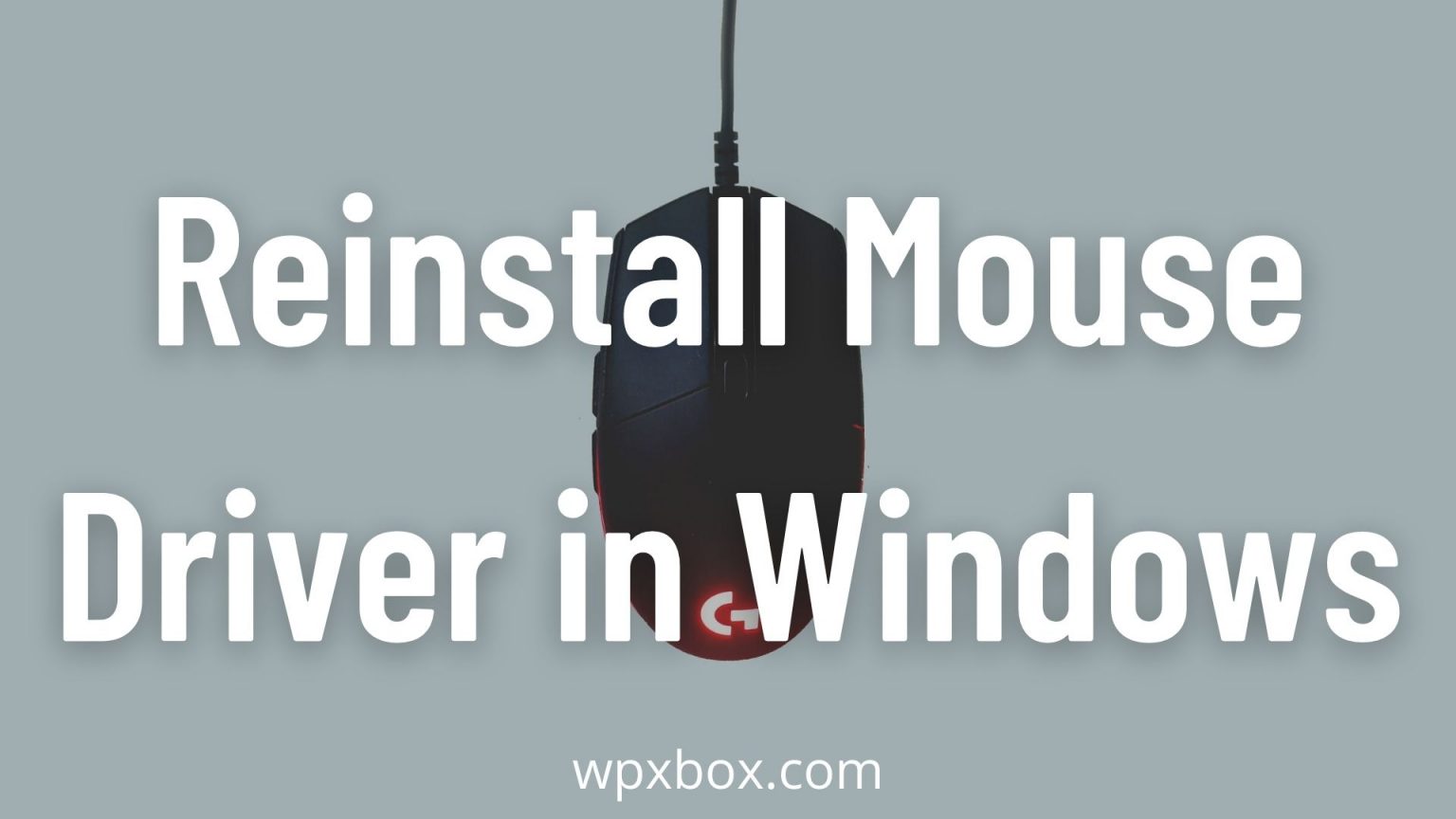 how-to-reinstall-mouse-driver-in-windows-11-10