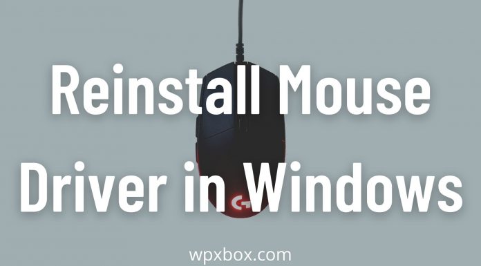 reinstall mouse driver Windows