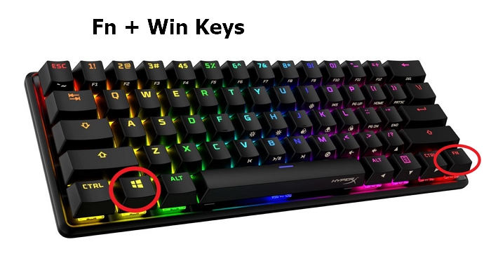 Fn + Win Keys