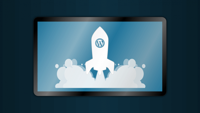 WordPress Good for Ecommerce