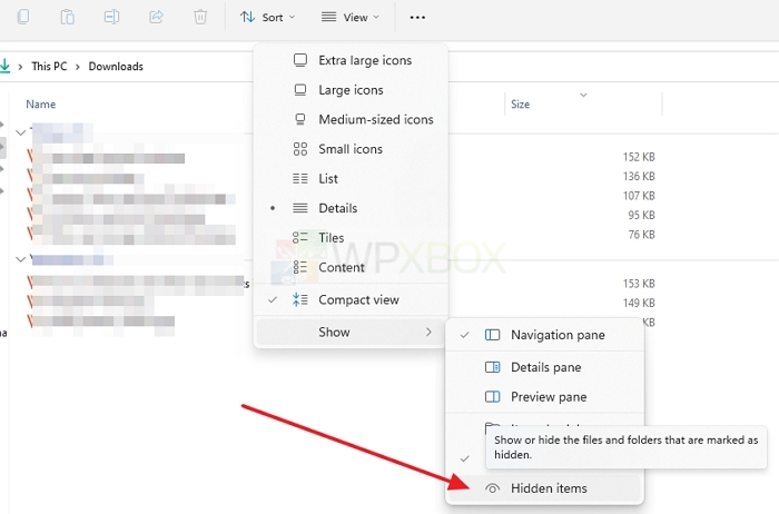 View Hidden Files in File Explorer