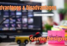 Advantages Disadvantages Game Designer