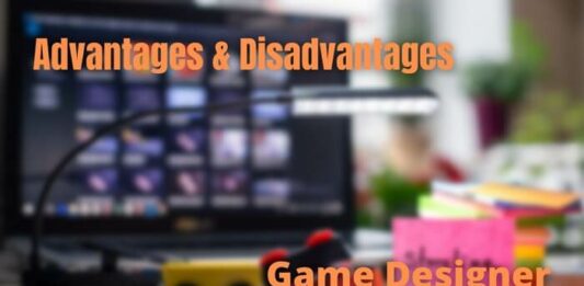 Advantages Disadvantages Game Designer