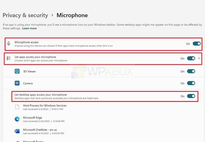 Privacy Microphone App Settings