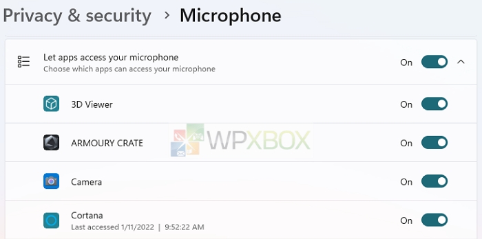 Configure App Access for Microphone