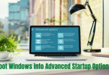 Boot Windows into Advanced Startup Options