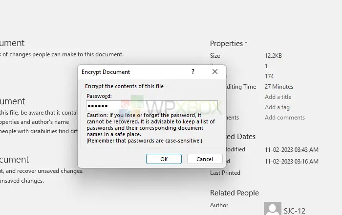 Choose A Password To Encrypt The Document