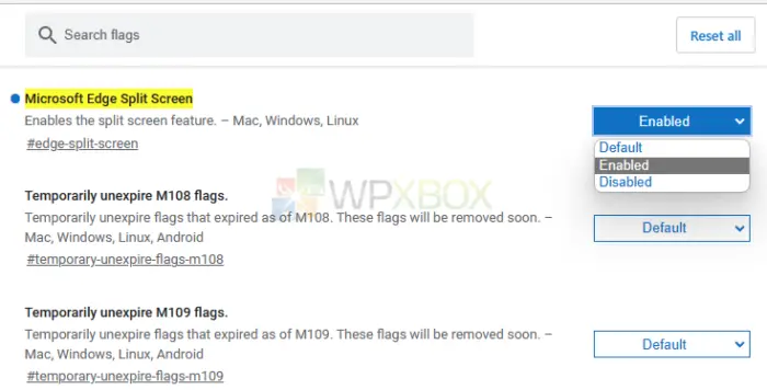 Microsoft Edged Split Screen Flag