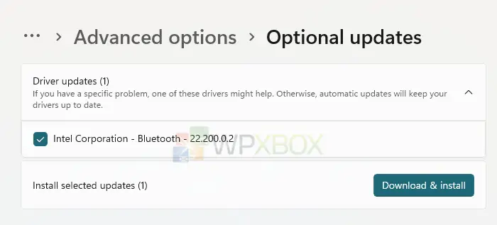 Optional Update Driver Updates Intel Bluetooth
