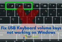 Fix USB Keyboard volume keys not working on Windows