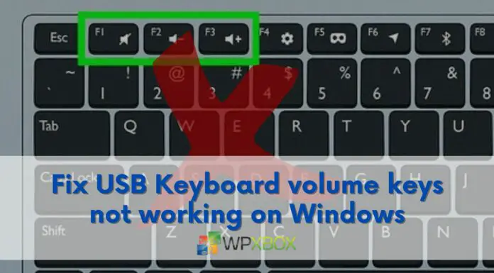 Fix USB Keyboard volume keys not working on Windows