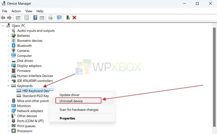 Uninstalling keyboard drivers in Windows Device Manager