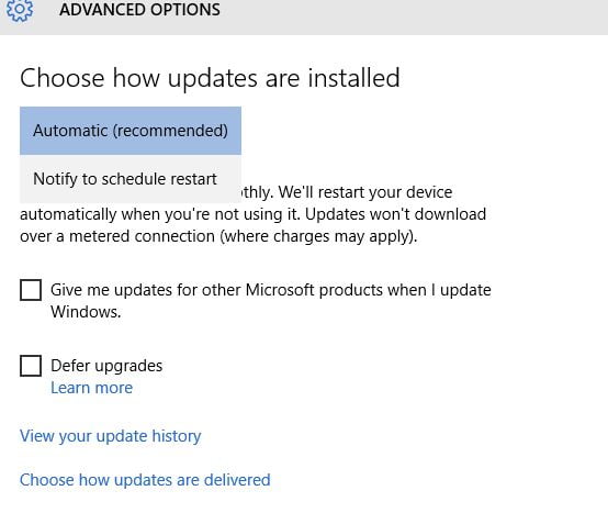 Windows Update Advance Option