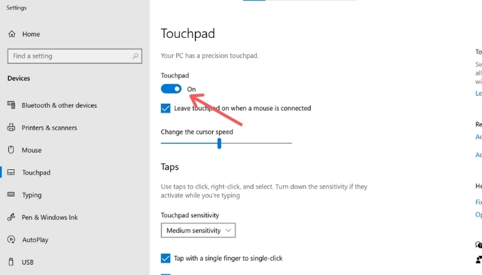 disable touchpad settings